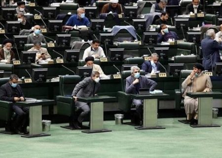 اگر مجلس به جای تصویب لایحه حمایت از حقوق زنان، مشغول رسیدگی به مجارات نگهداری سگ و گربه نمی شد، کار به اینجا نمی کشید