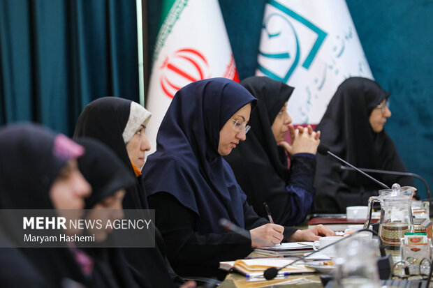 مهر مشارکت زنان در رویدادهای انتخاباتی را بررسی کرد؛ کفه سنگین فعالیت‌ فرهنگی زنان نسبت به سیاست