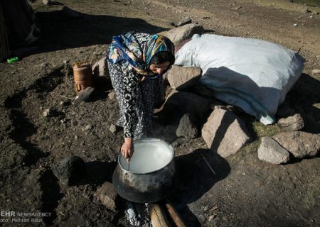 حمایت از زنان عشایری و روستایی، کلید پایداری امنیت غذایی