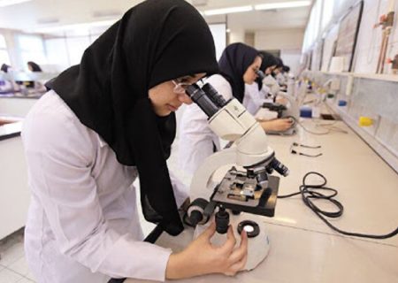 عاطفه سعیدی‌نژاد:کارآفرینی به طور جدی از سوی بانوان دنبال شود