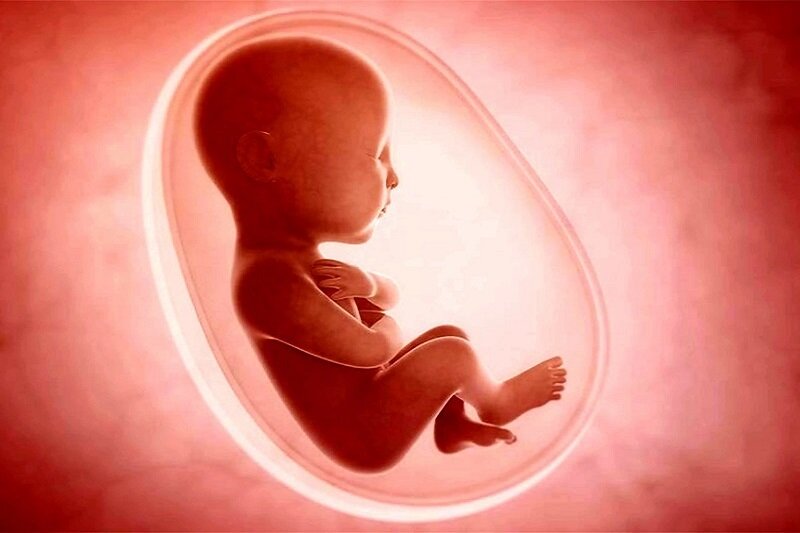 سامانه ثبت سقط جنین راهاندازی شد