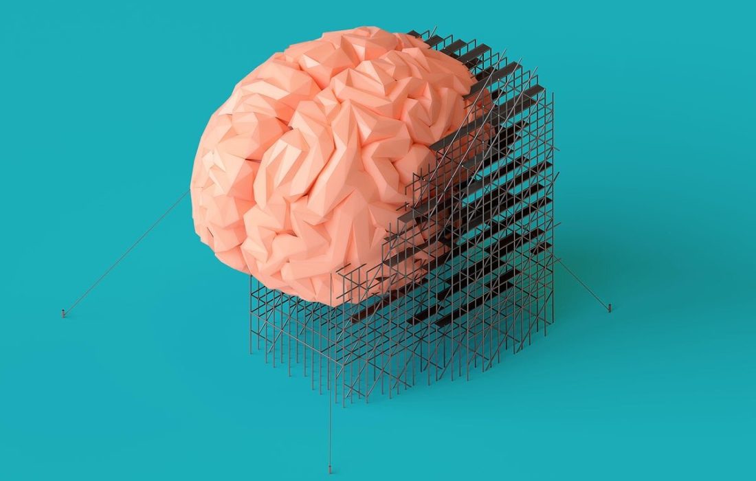 یک کشف شگفتانگیز / «مغز زنان» هر ماه دوباره متولد میشود؟