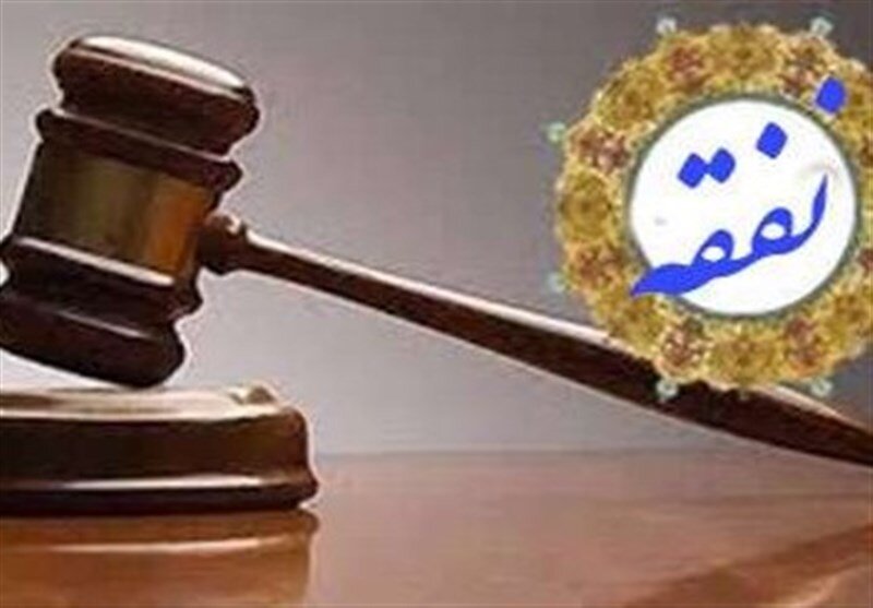 دلیل پرداخت نفقه به خانمها / آیا مرد میتواند به علت تمکن مالی زن، نفقه نپردازد؟